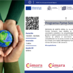 Programa Pyme Sostenible